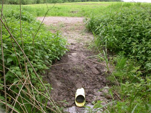 Drainagerohr von einem Maisacker direkt in den Erlenbruchwald kurz vor Müggenbusch