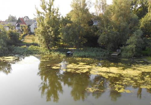 Wallbrechtbrücke