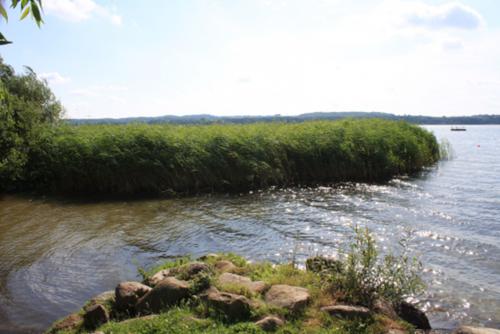 Groß Sarau Juli 2012