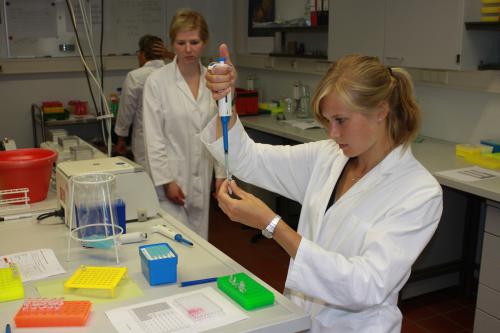Pipettieren