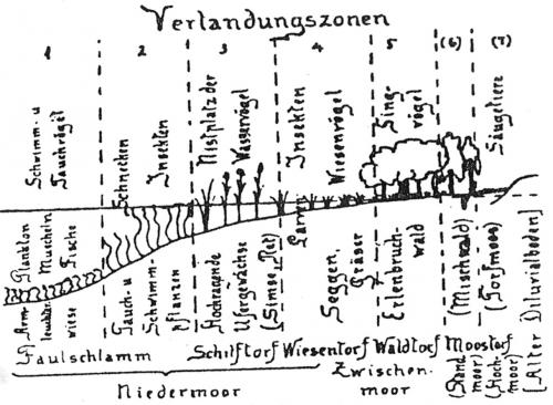 Uferzonierung 1926