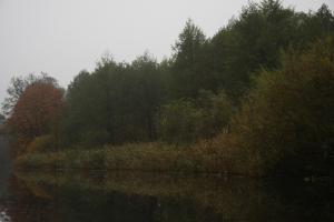 Absalonshorst Herbst